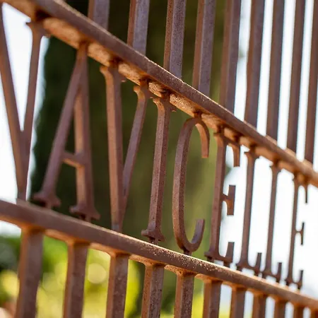 Domaine De La Navicelle - Oiseaux 2 Le Pradet