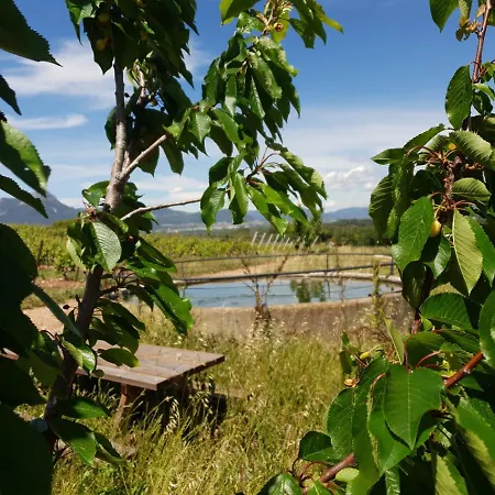 Domaine De La Navicelle - Oiseaux 2